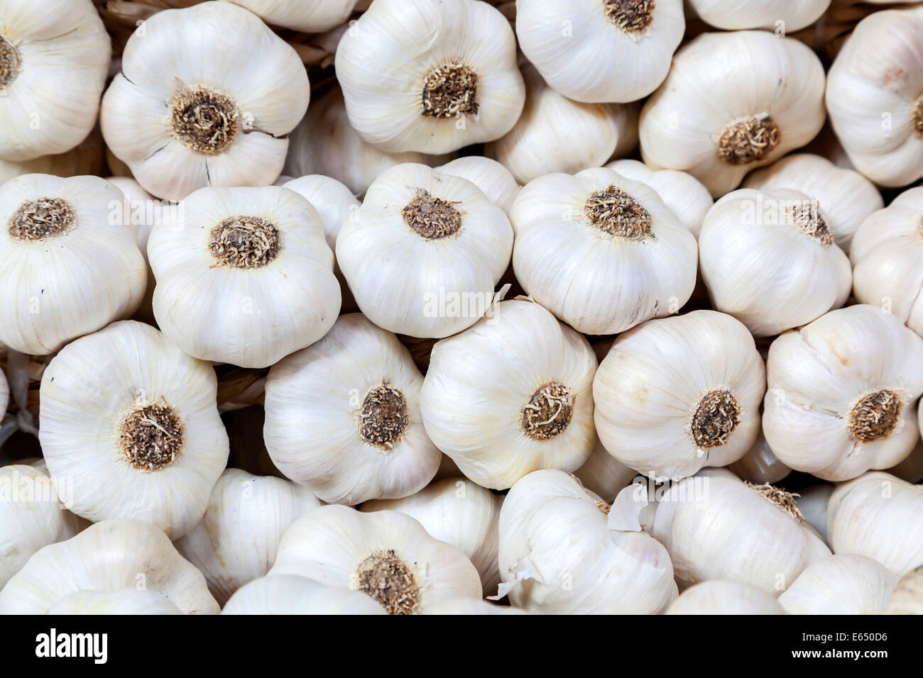 Garlic bulbs, Hungary Stock Photo