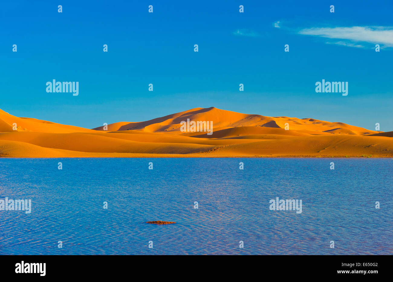 Sand dunes of Erg Chebbi in the evening light, temporary lake that formed after heavy rains at the front, Sahara Stock Photo
