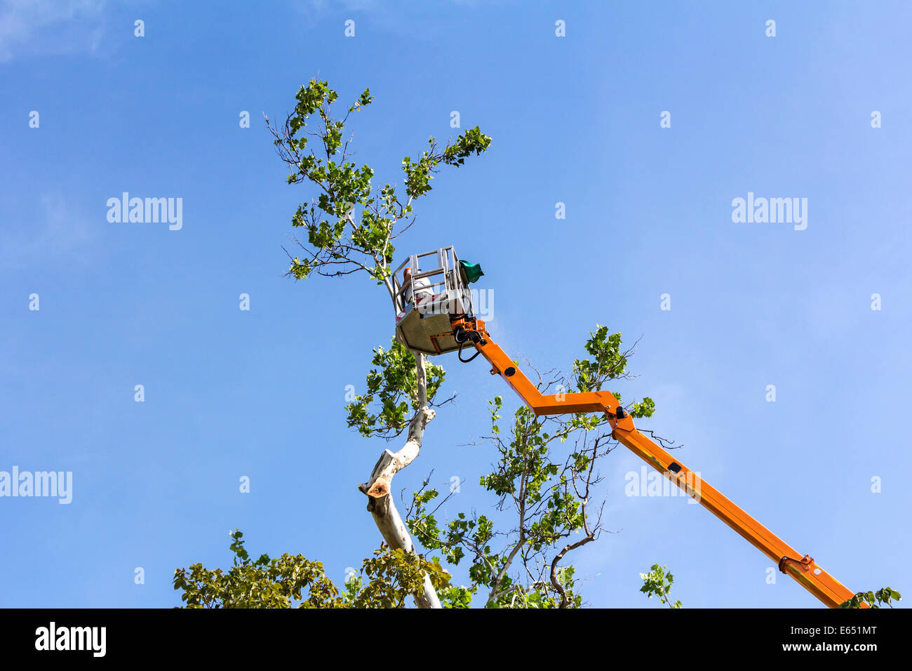 Hydraulic platform to cut tree branches hi-res stock photography and ...