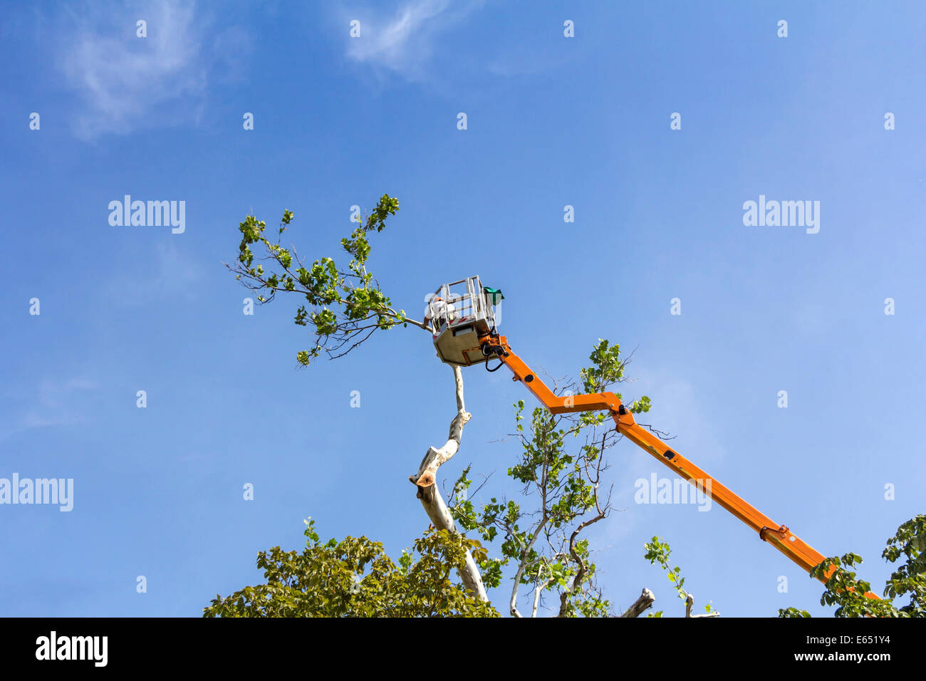 Trimming tree lift arm hires stock photography and images Alamy