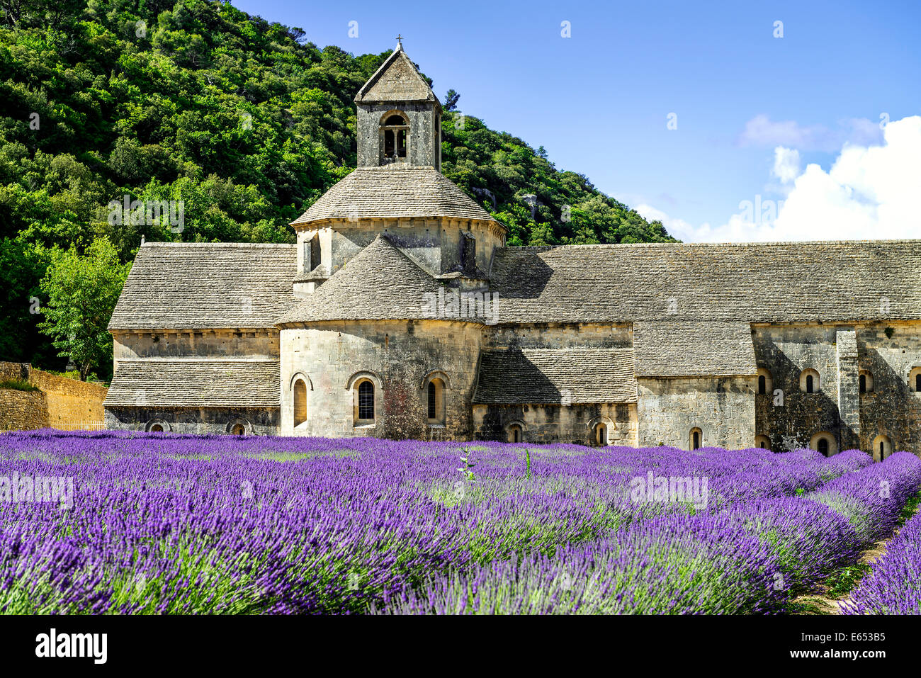 Abbey of Senanque and blooming rows lavender flowers. Gordes, Luberon, Vaucluse, Provence, France. Stock Photo