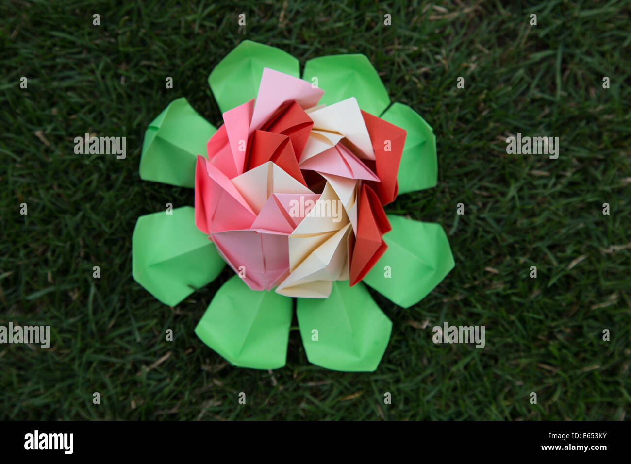 An Origami Water Lily Stock Photo 72642079 Alamy
