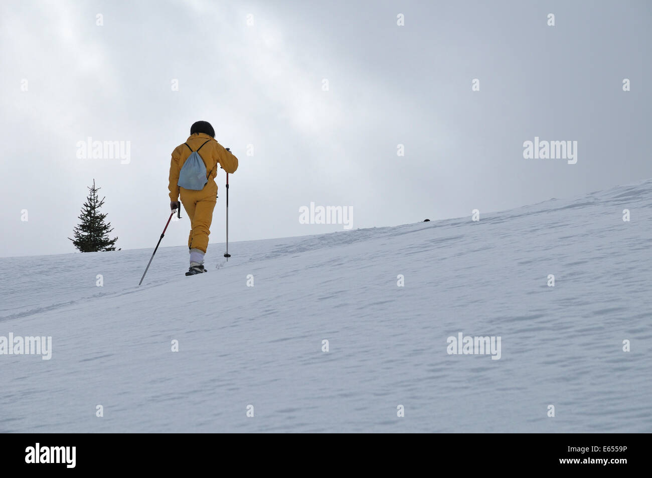 Woman snowshoeing in winter Stock Photo