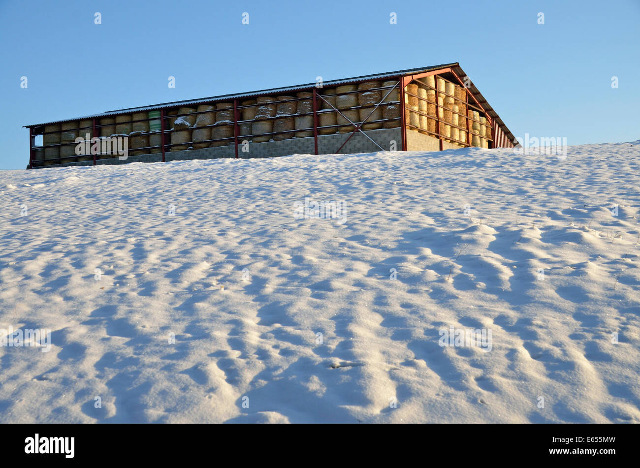 Hay bales in a barn shelter in a snowy field in winter Stock Photo