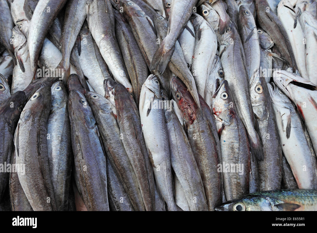 Fish for sale on a market stall Stock Photo