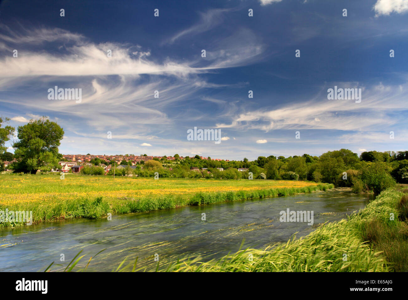 The River Avon and water meadows at Amesbury, Wiltshire, England. Stock Photo