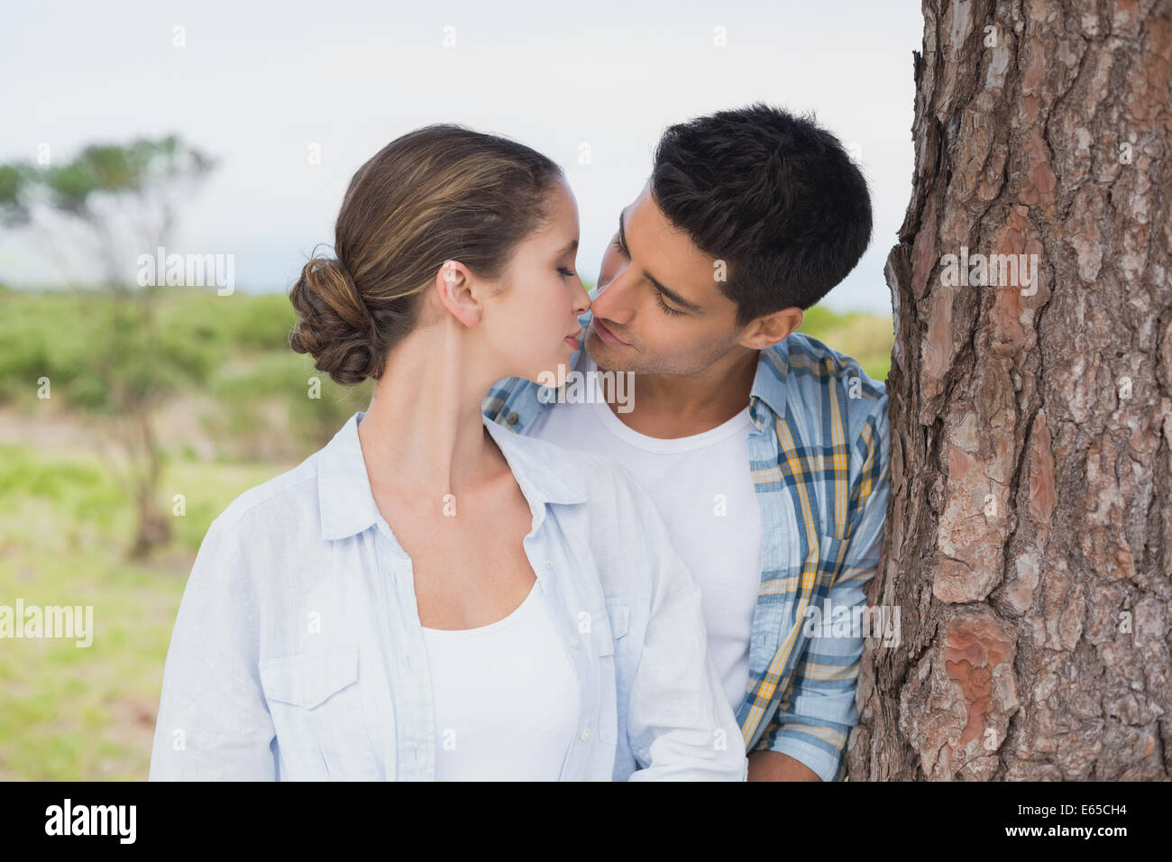 Couple tree kiss summer hires stock photography and images Alamy