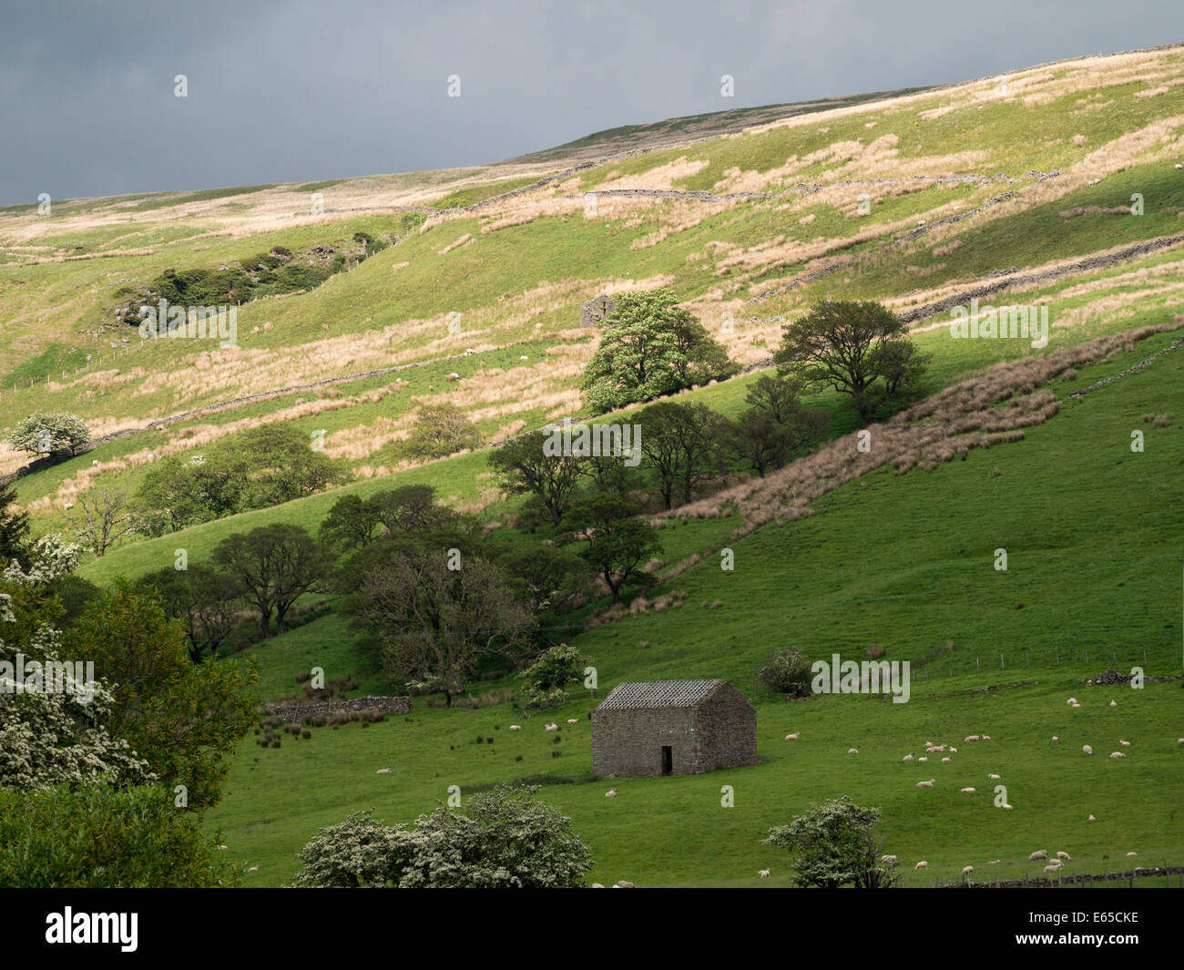 The Eden Valley, N Yorkshire, UK Stock Photo Alamy