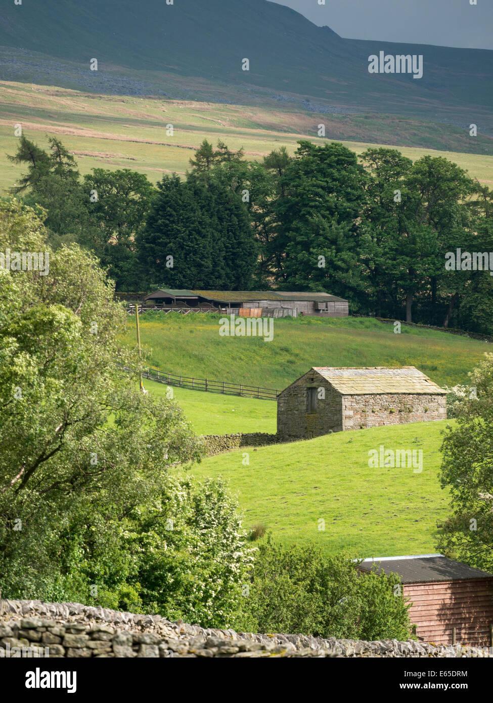 The Eden Valley, N Yorkshire, UK Stock Photo Alamy