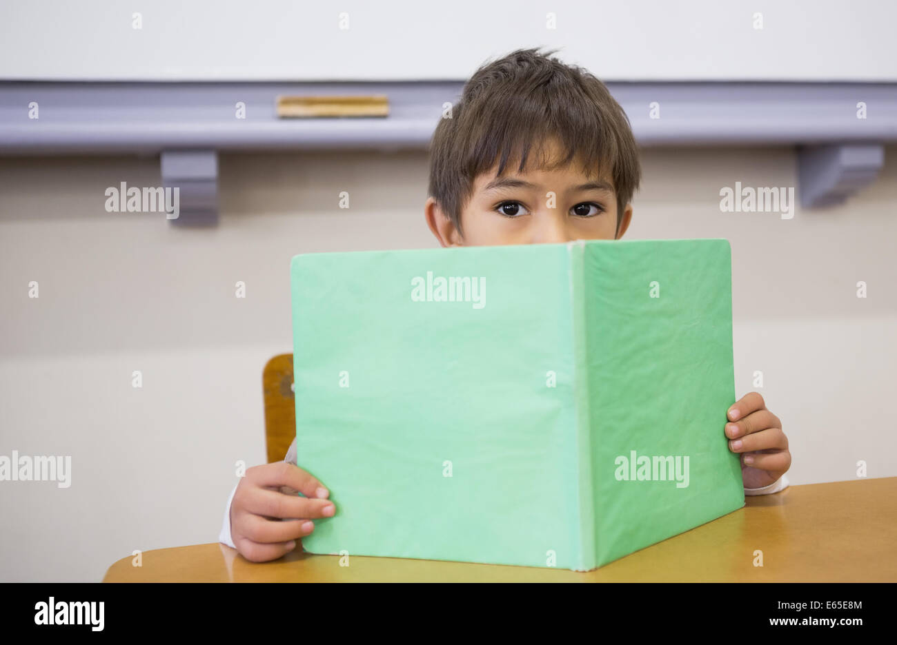 Pupil reading book at desk Stock Photo - Alamy