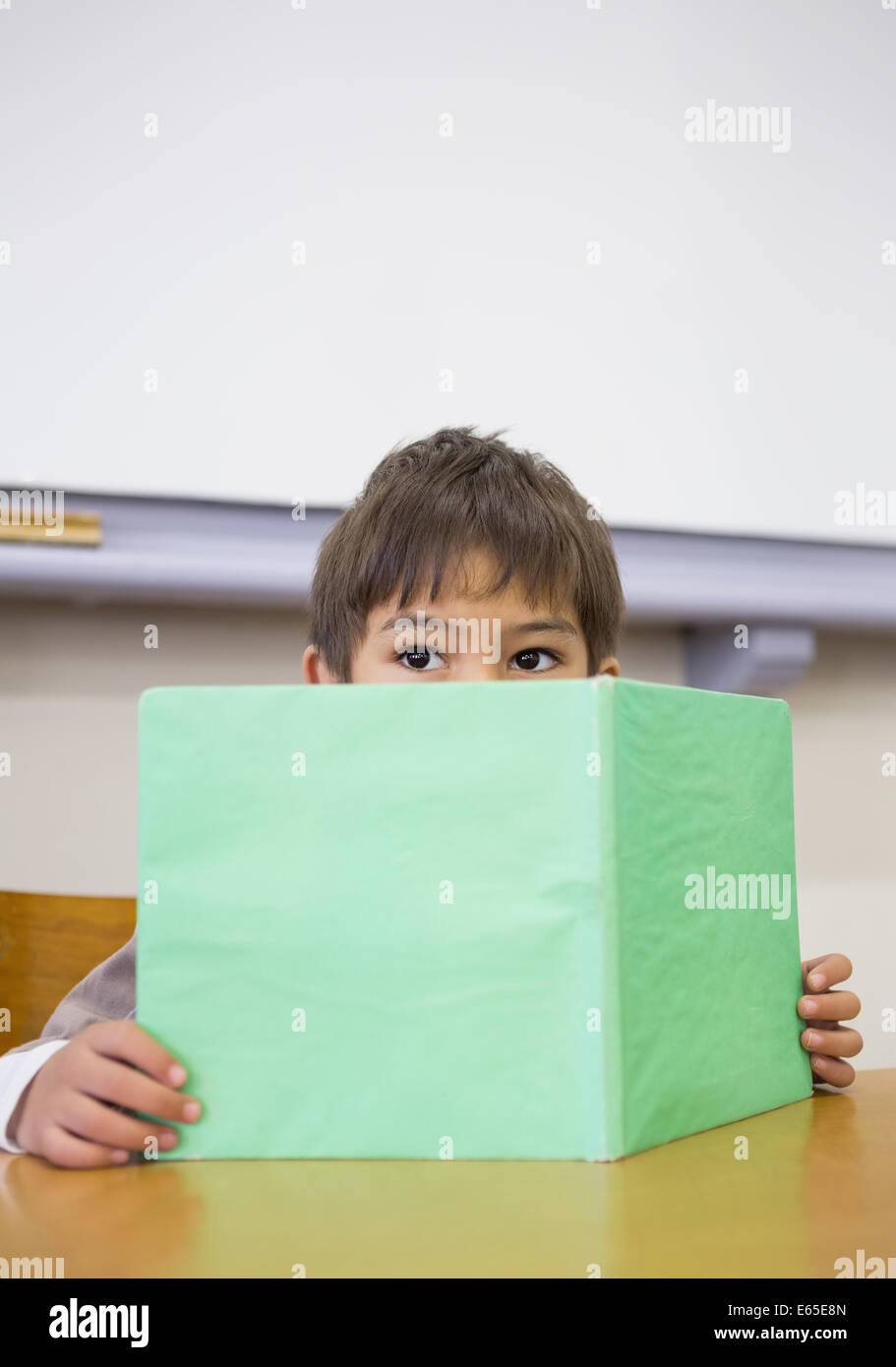 Pupil reading book at desk Stock Photo - Alamy