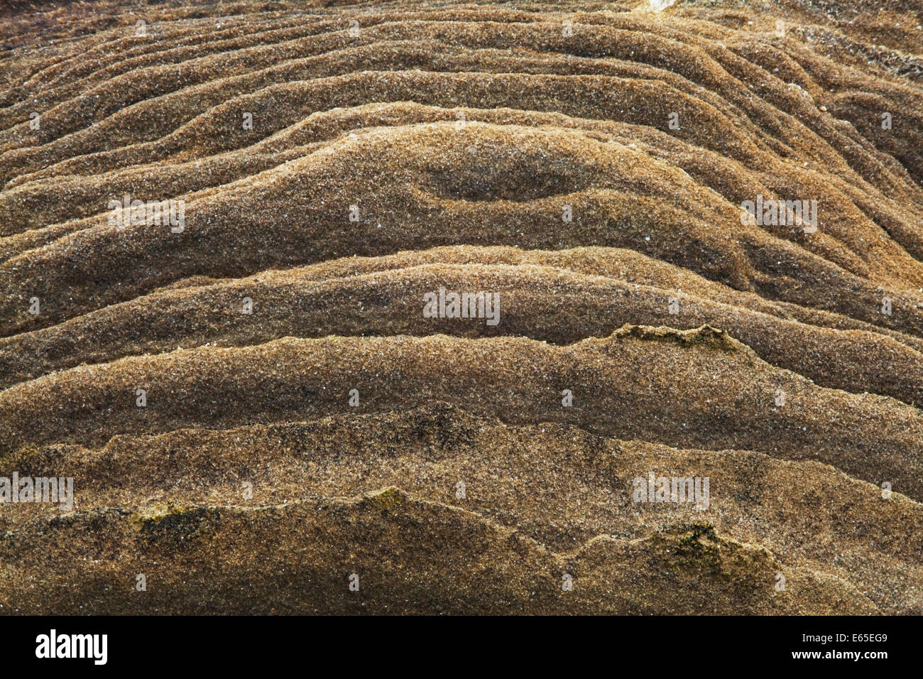 Erosion detail hi-res stock photography and images - Alamy