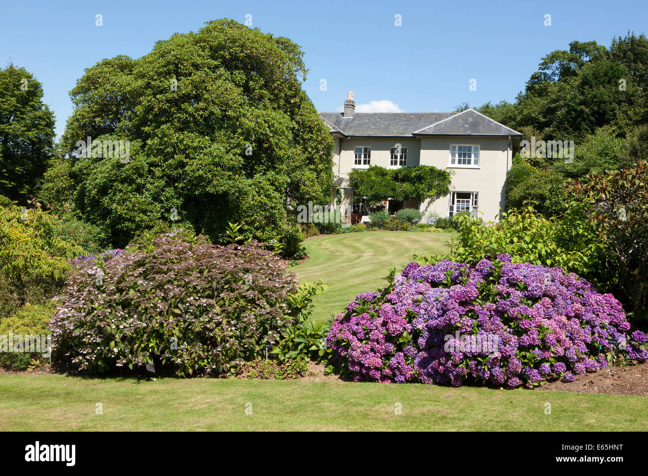The Garden House Buckland Monachorum Yelverton Devon on a summers