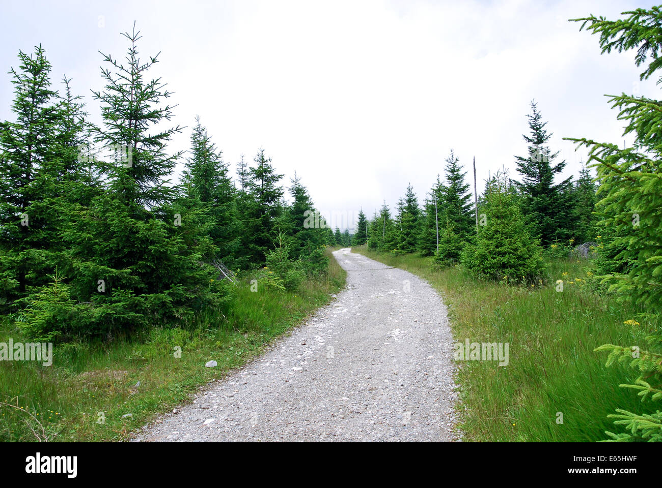 A hiking trail in the national park of Krkonose, the highest mountains in the Czech Republic Stock Photo