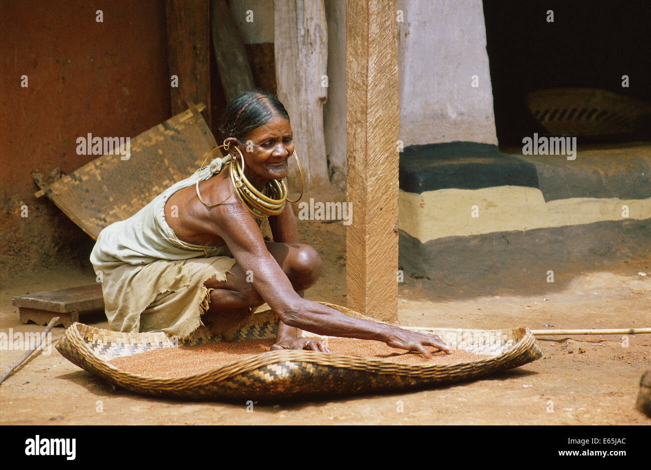 Tribal woman sun drying seeds. She belongs to the Gadaba tribe ( India) Stock Photo