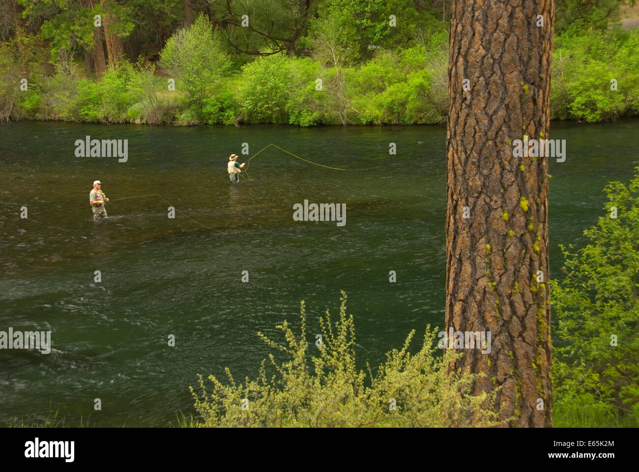 Flyfishing, Metolius Wild & Scenic River, Deschutes National Forest