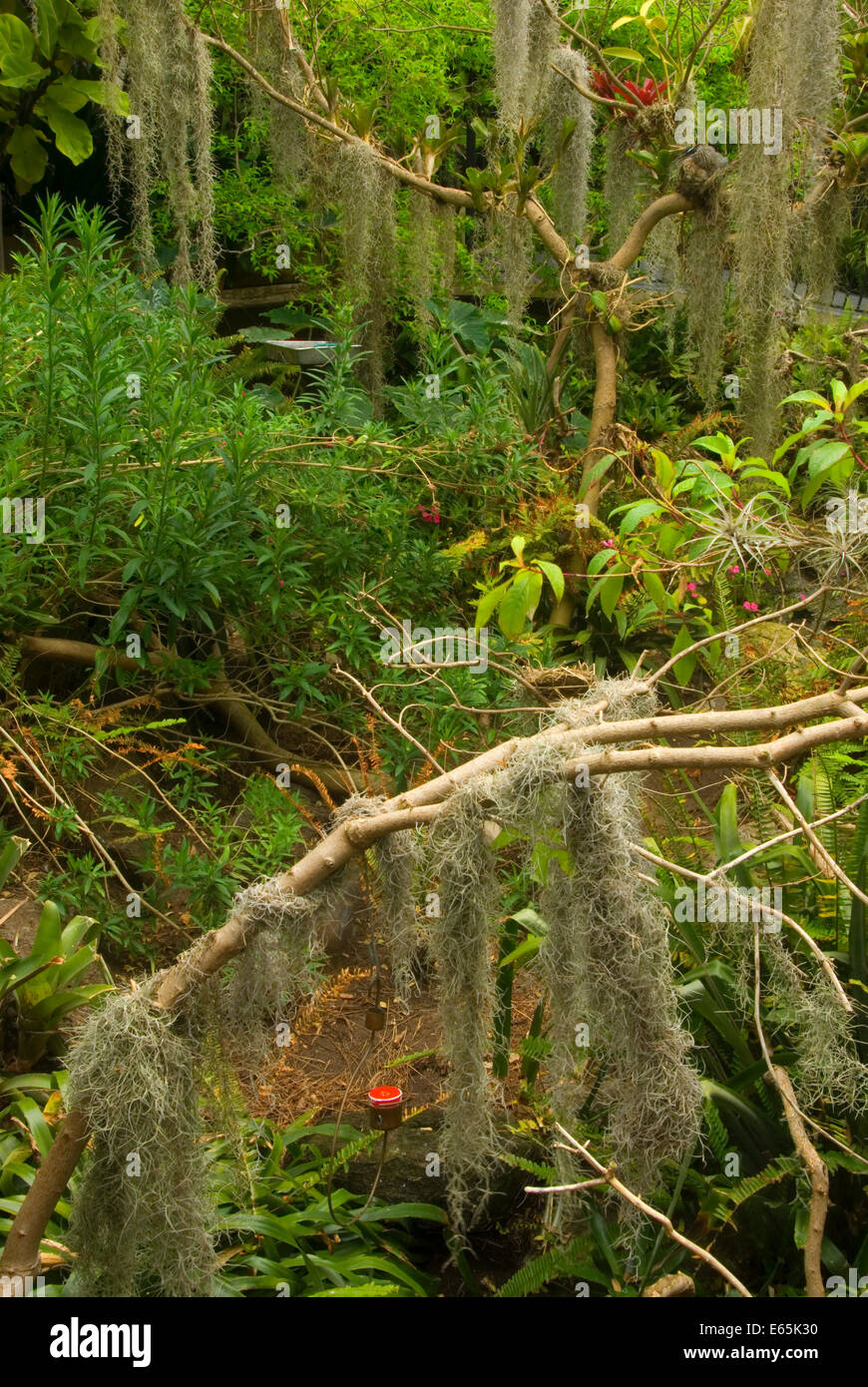 Hummingbird Aviary, San Diego Zoo, Balboa Park, San Diego, California
