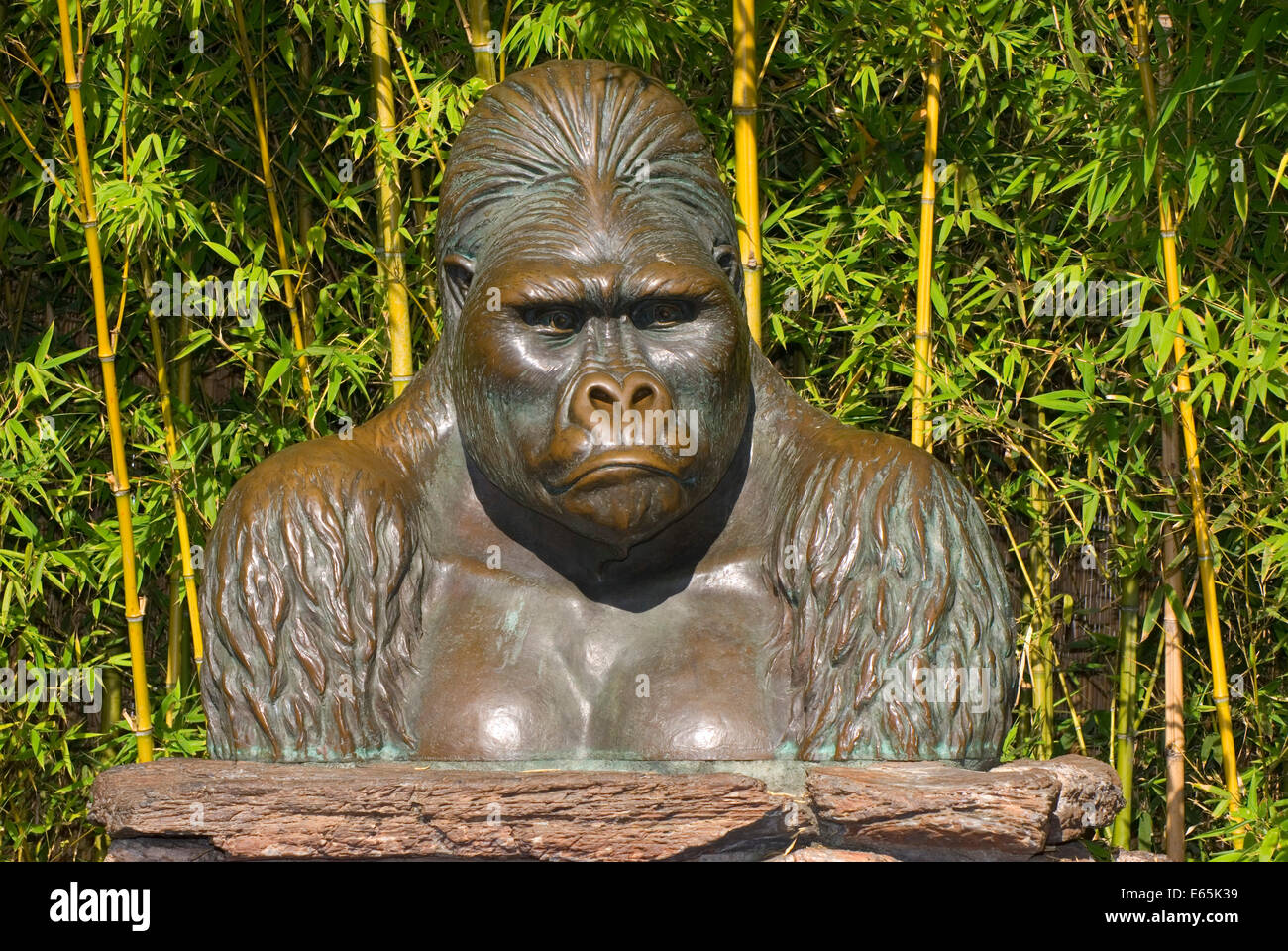 Gorilla statue, San Diego Zoo, Balboa Park, San Diego, California Stock ...