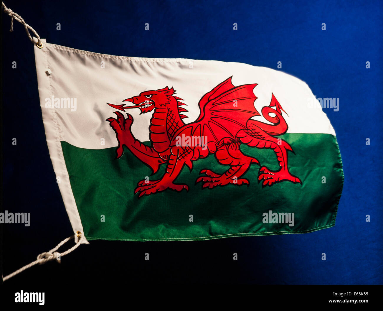 Welsh Dragon Welsh National Flag Stock Photo