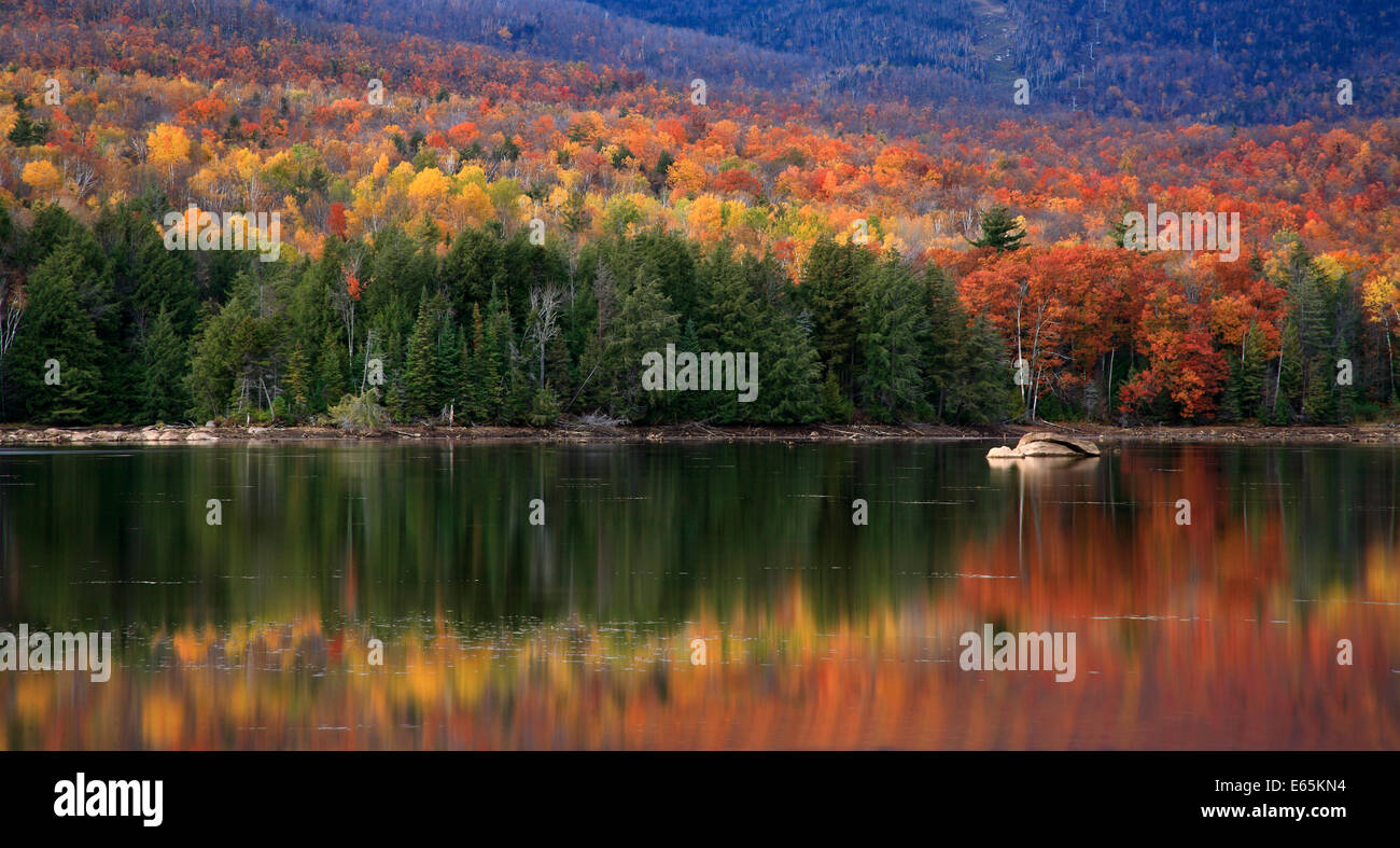 A Colorful And Pastoral Mountain Lake Scene On An Autumn Evening, Loon