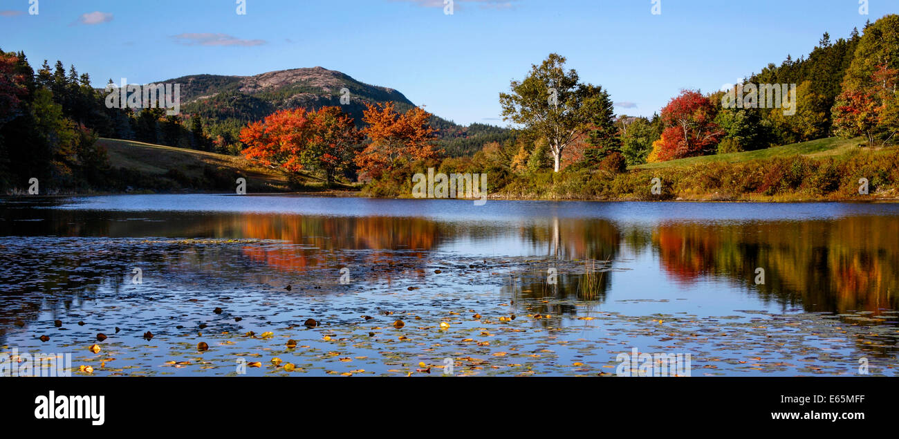 Lily Pads on Little Long Pond, Acadia National Park, Maine, USA Stock Photo