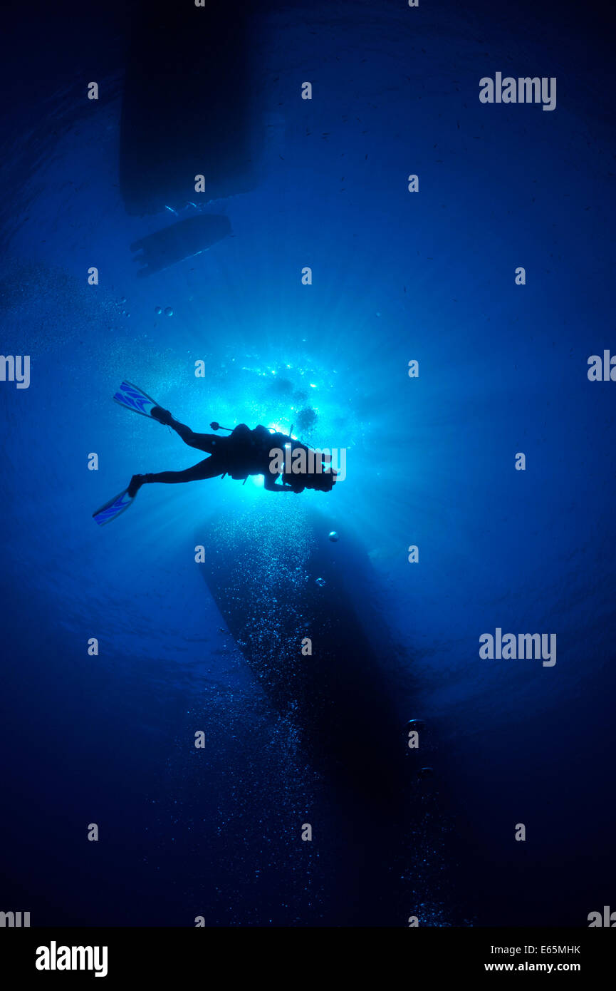 Diver Silhouette High Resolution Stock Photography and Images - Alamy