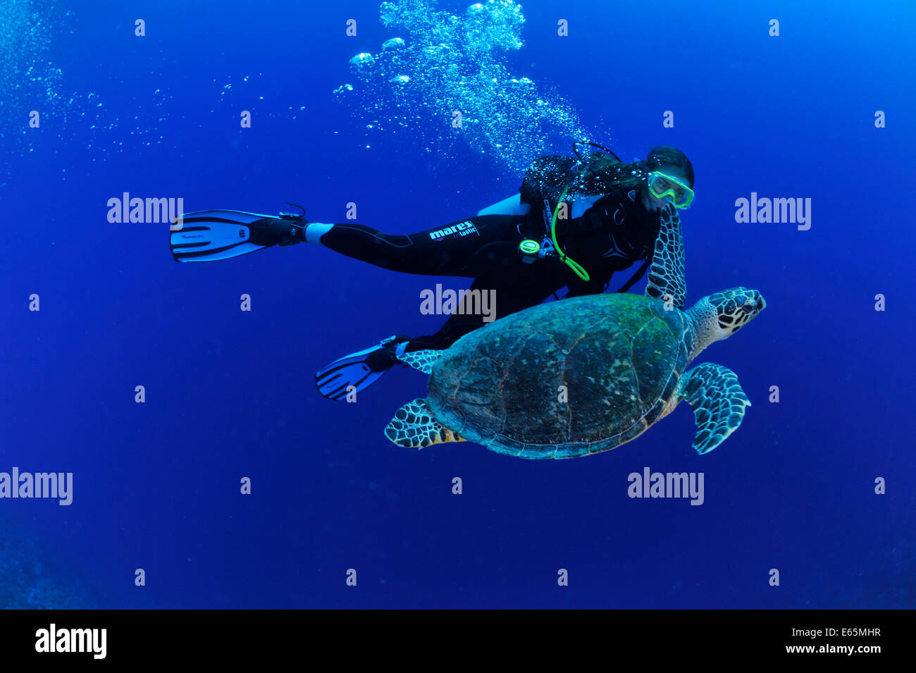 Diver and turtle Stock Photo