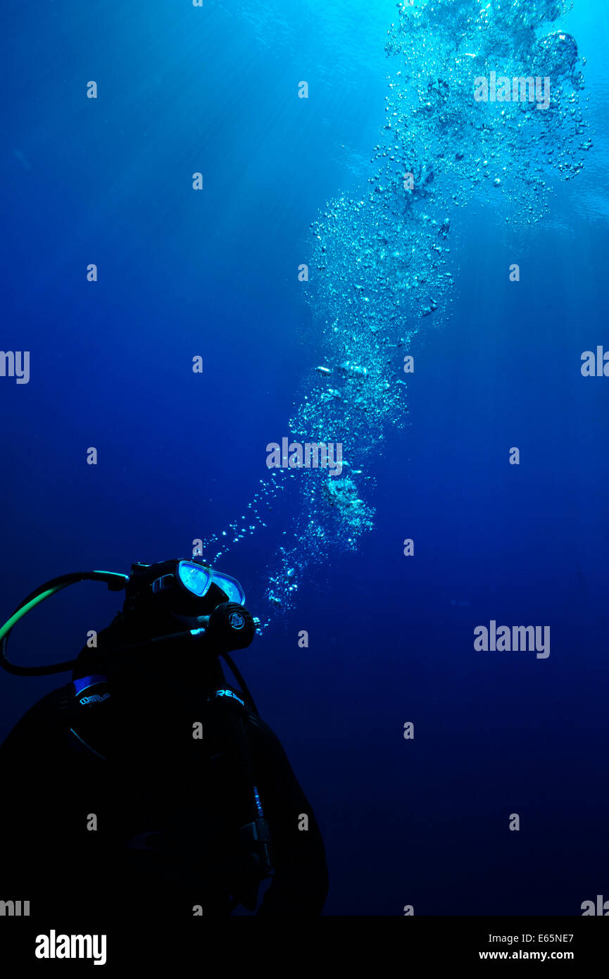 Scuba diver underwater hi-res stock photography and images - Alamy