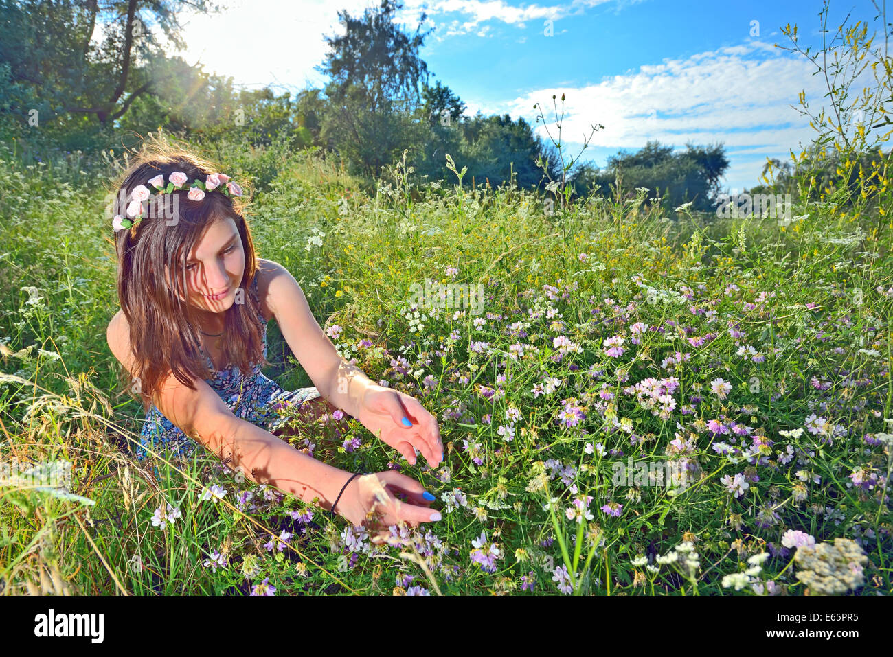 teen sitting outdoors in a flowers field Stock Photo - Alamy