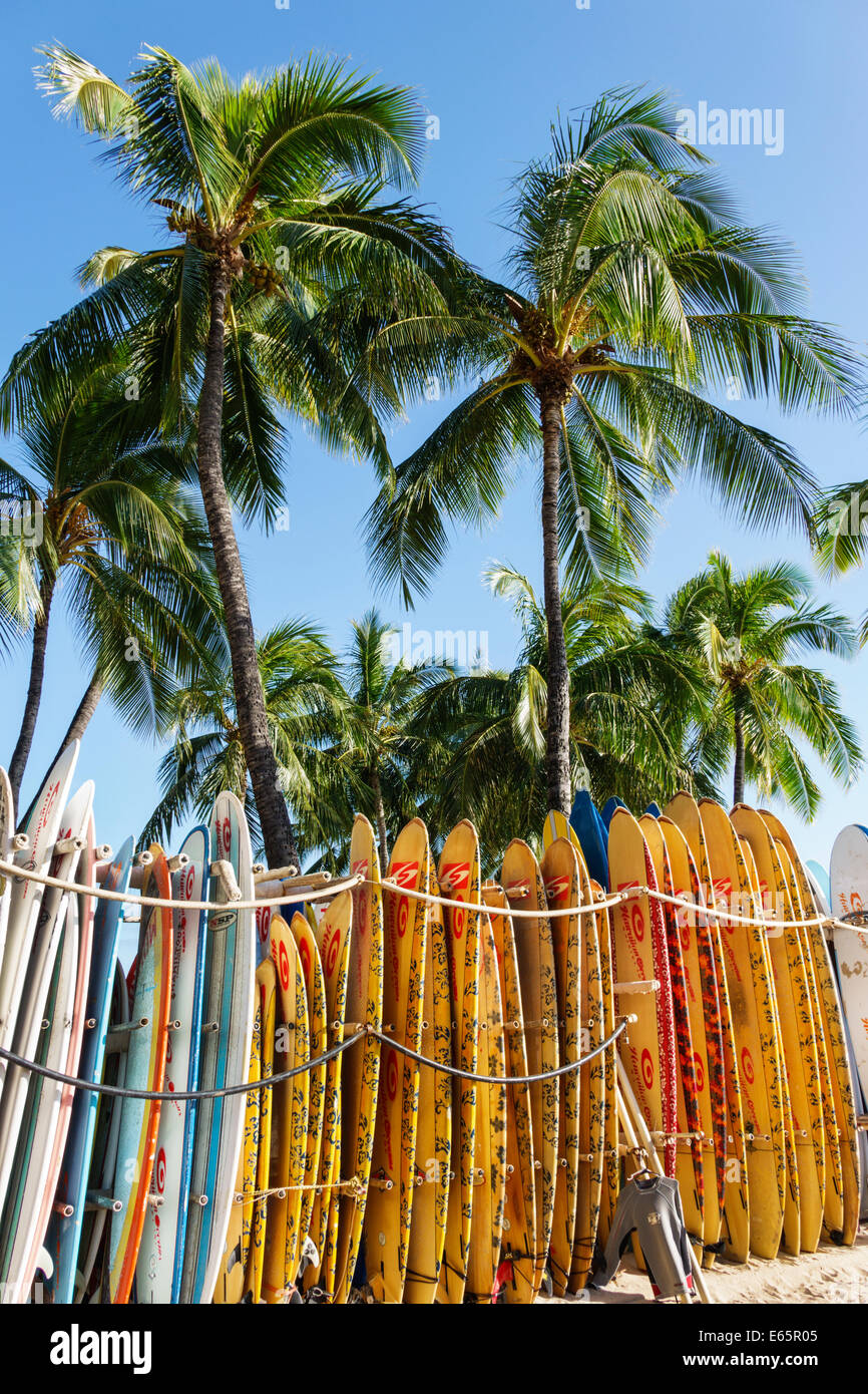 Honolulu Hawaii,Oahu,Hawaiian,Waikiki Beach,resort,Kuhio Beach State Park,rental,surfboards,rent,palm trees,USA,US,United,States,America Polynesia,HI1 Stock Photo