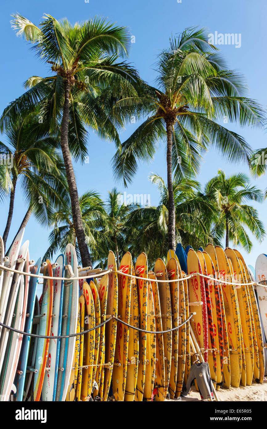 Surfboards palm trees on hi-res stock photography and images - Alamy