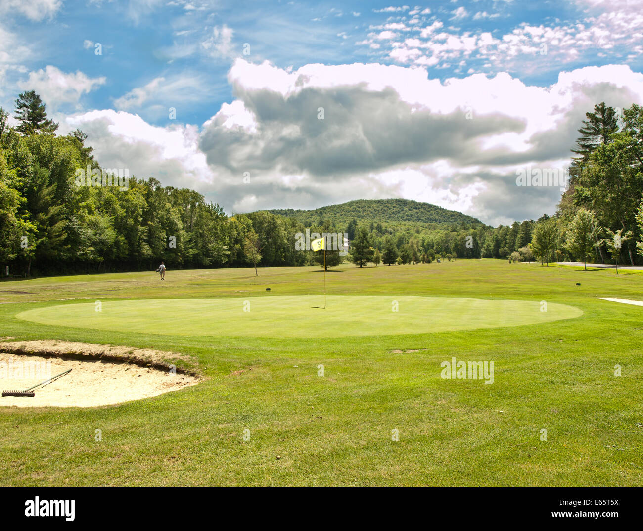 New york course hi res stock photography and images Alamy