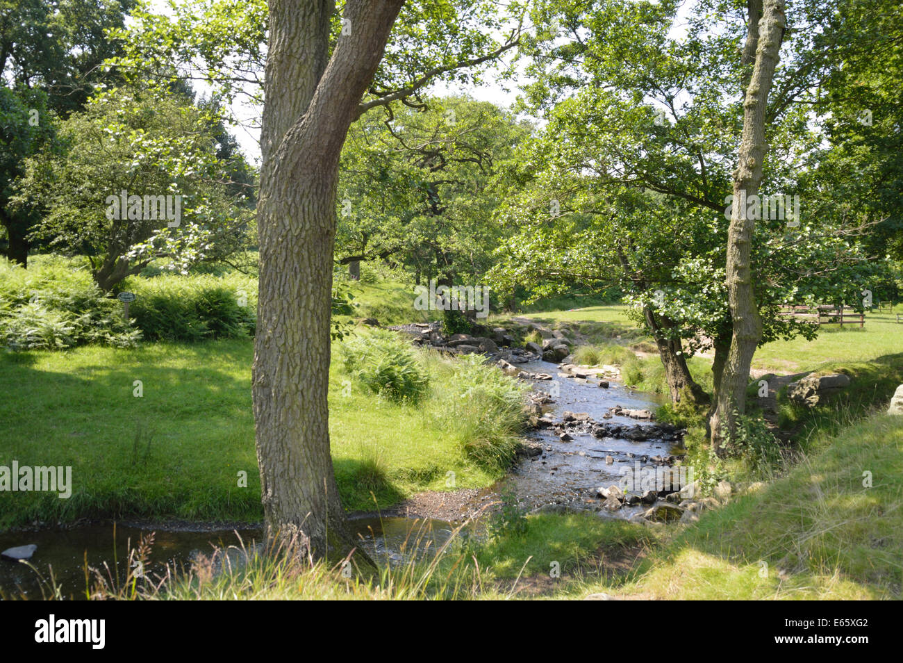 The River Lin running between trees at Bradgate Park in Leicestershire Stock Photo