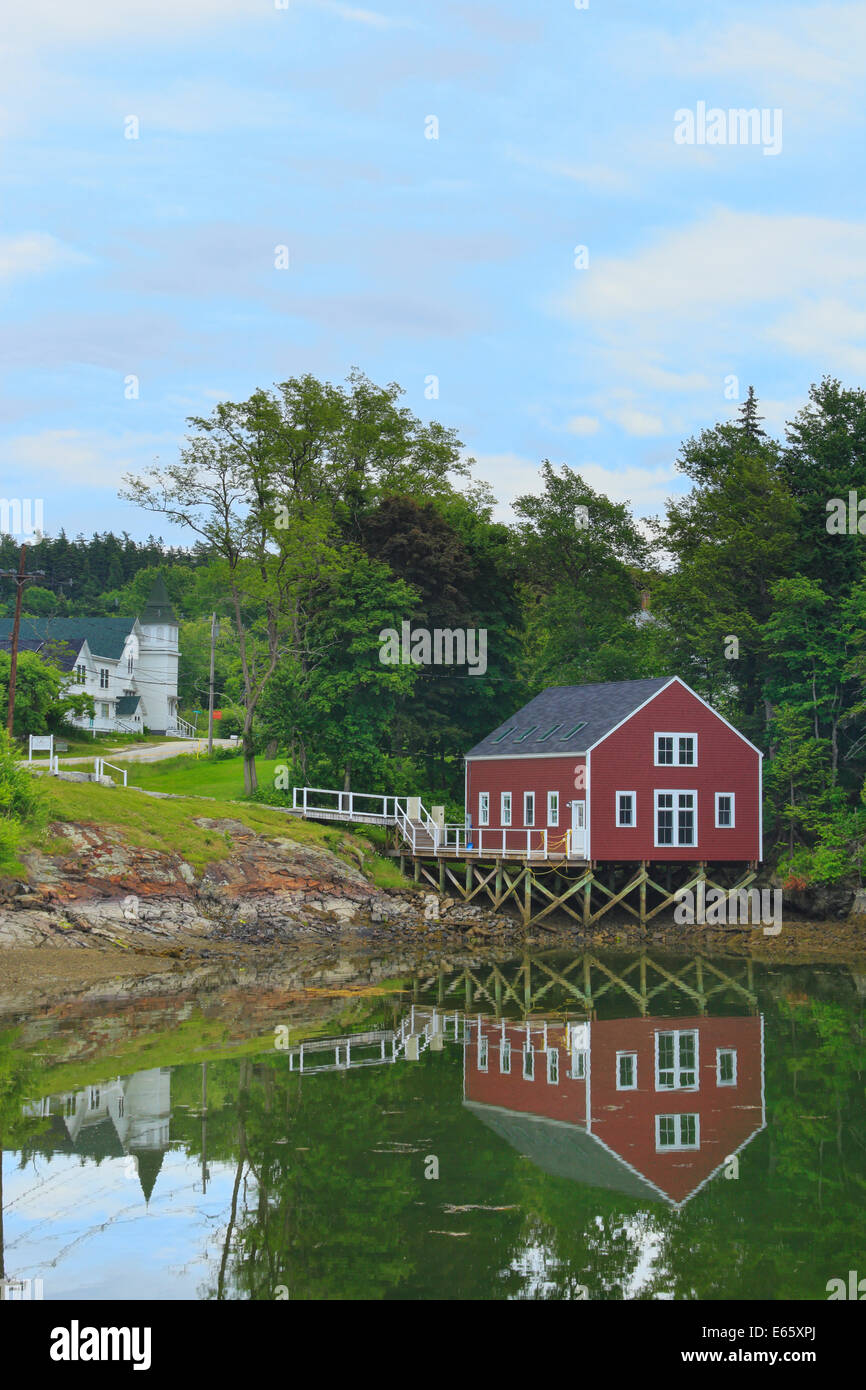 Maine blue lobster hires stock photography and images Alamy