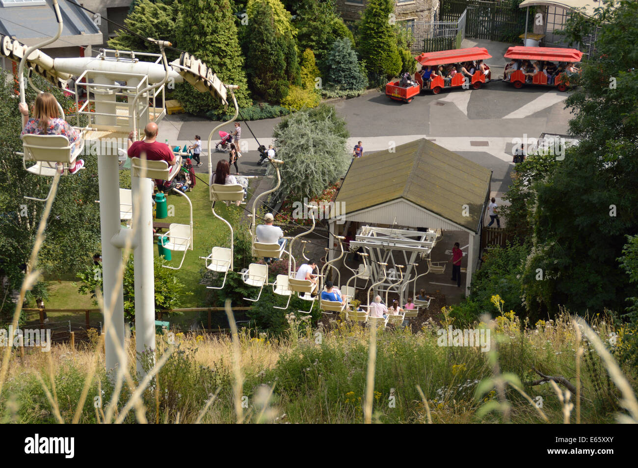 Dudley Zoo Tickets Offers | informacionpublica.svet.gob.gt