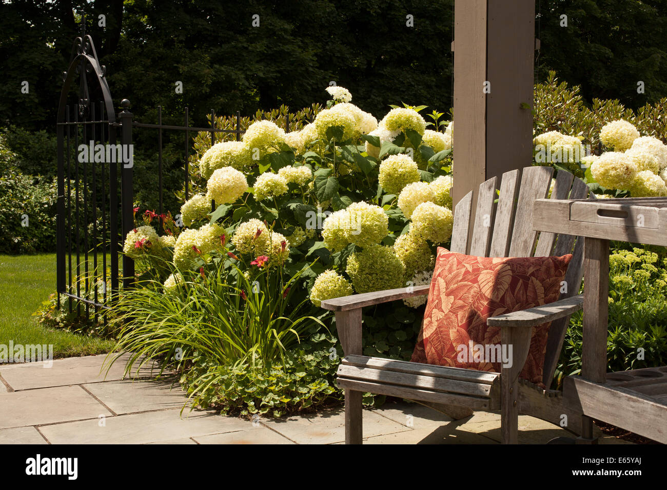 Summer flowers bloom by a sunny pergola setting with an Adirondack chair in Massachusetts Stock Photo