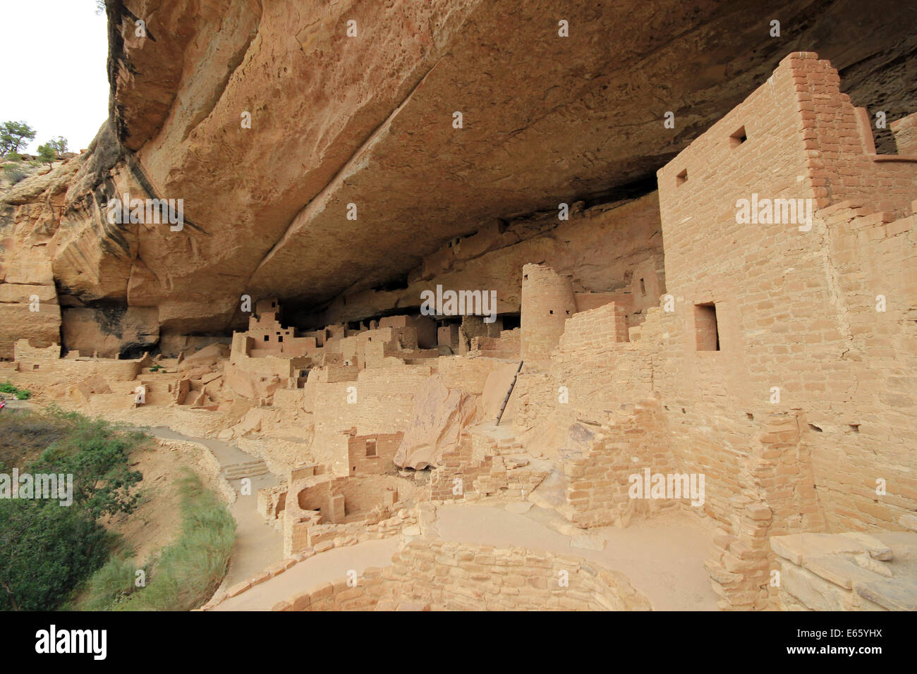 Cliff Palace in Mesa Verde, Colorado, United States Stock Photo