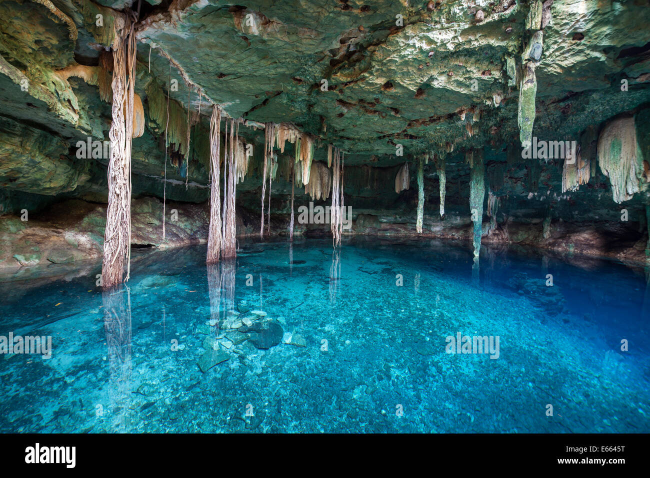 Entrance to the azure water of the Kankirixche cenote which continues underground for several hundred meters, Yucatan, Mexico. Stock Photo