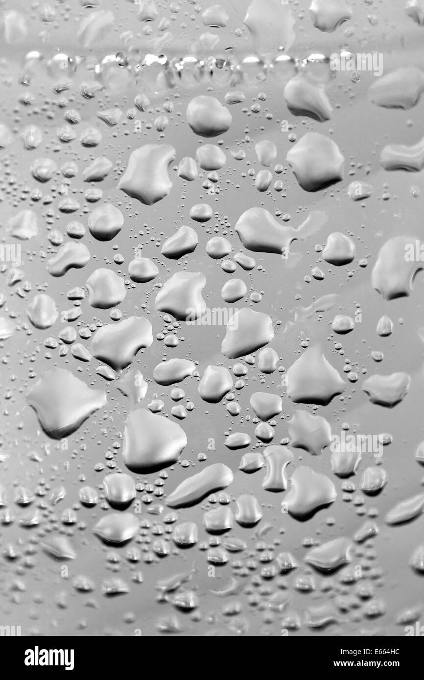 Water drops on gray background Stock Photo