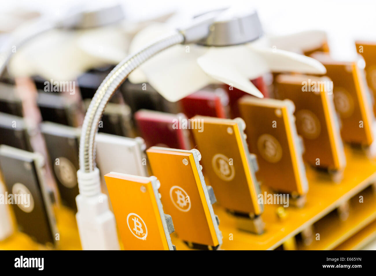 Row of USB bitcoin miners plugged into large USB board Stock Photo - Alamy