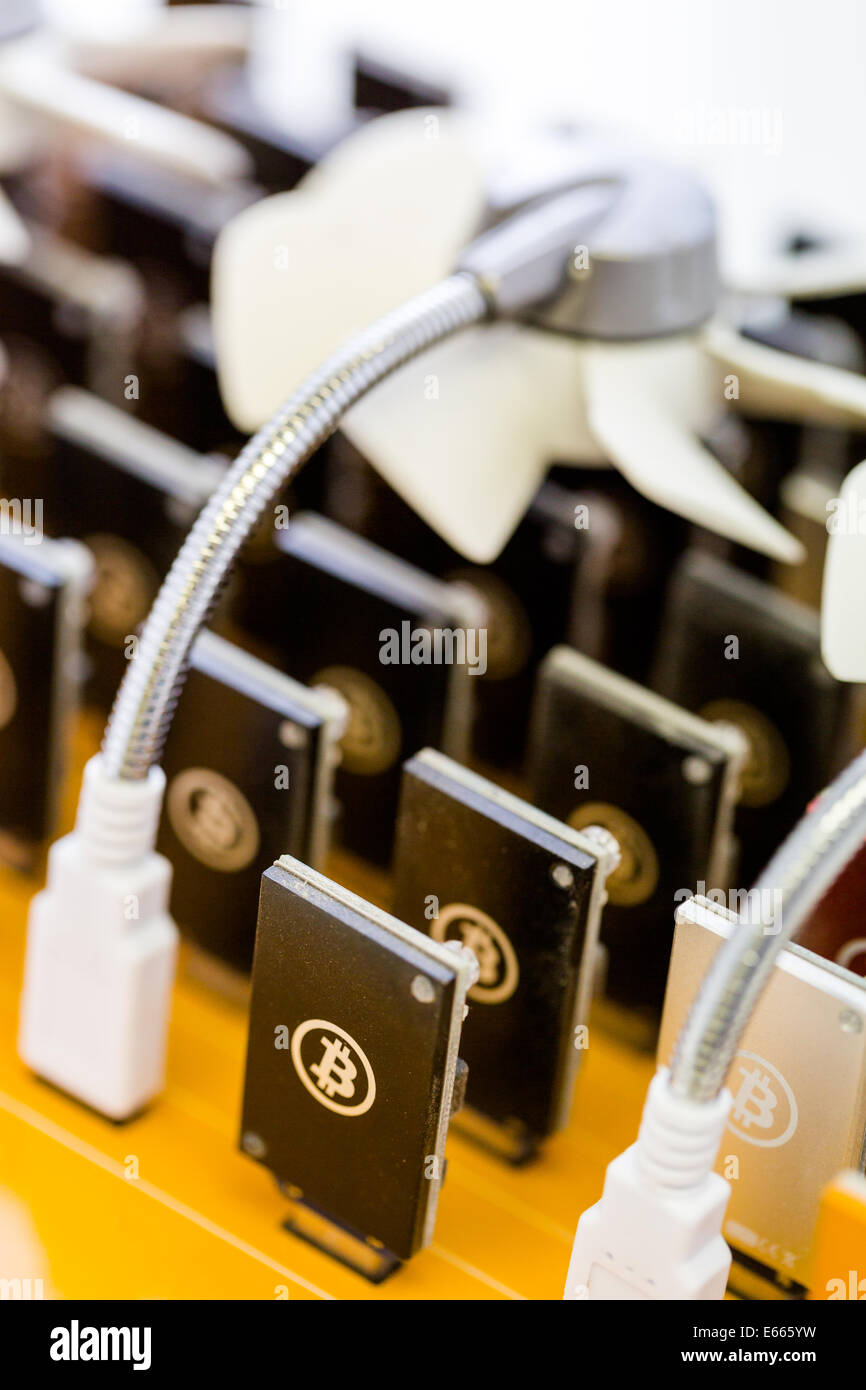 Row of USB bitcoin miners plugged into large USB board Stock Photo Alamy