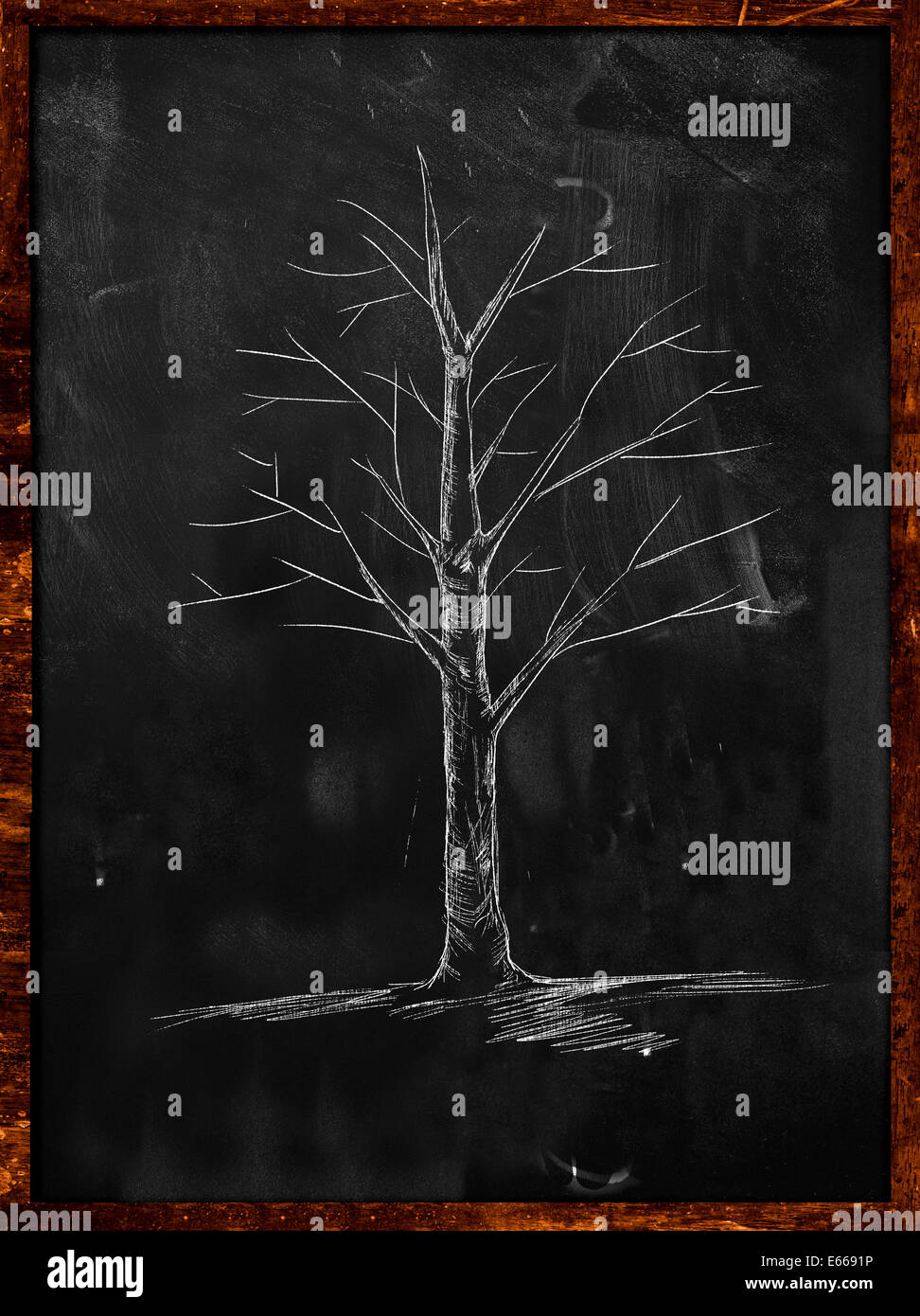 Black tree without leaves on white background. vector illustration. • wall  stickers garden, illustration, doodle | myloview.com