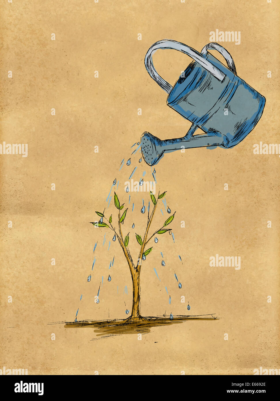 Watering Plant water color on Paper Stock Photo - Alamy