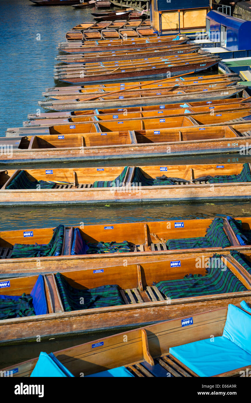Punts on the Cam river, Cambridge, England, UK Stock Photo