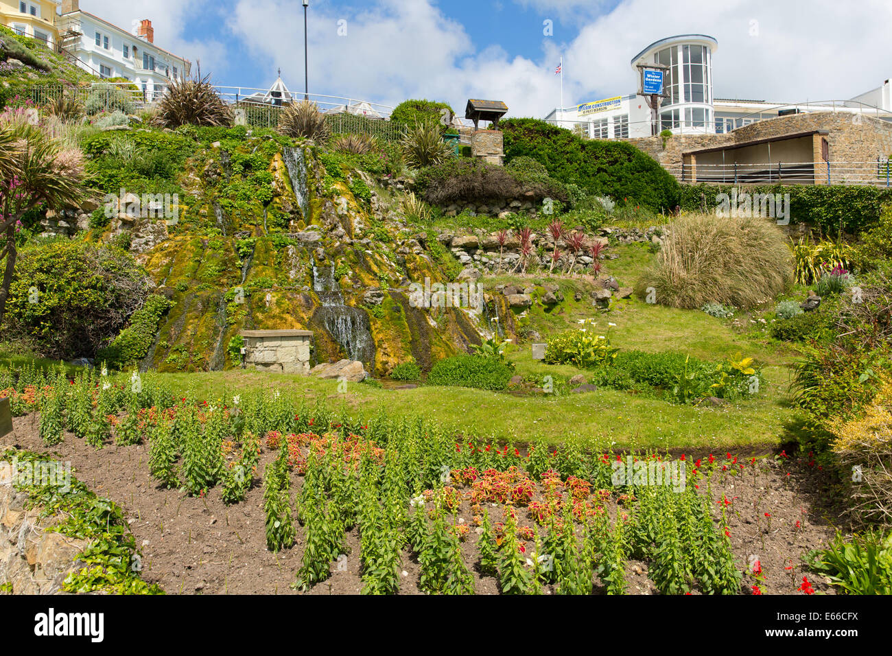 Ventnor botanic garden Isle of Wight south coast of the island tourist town England uk Stock