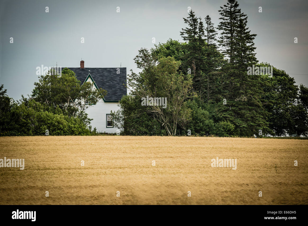 Old style farmhouse in rural Prince Edward Island, Canada. Stock Photo