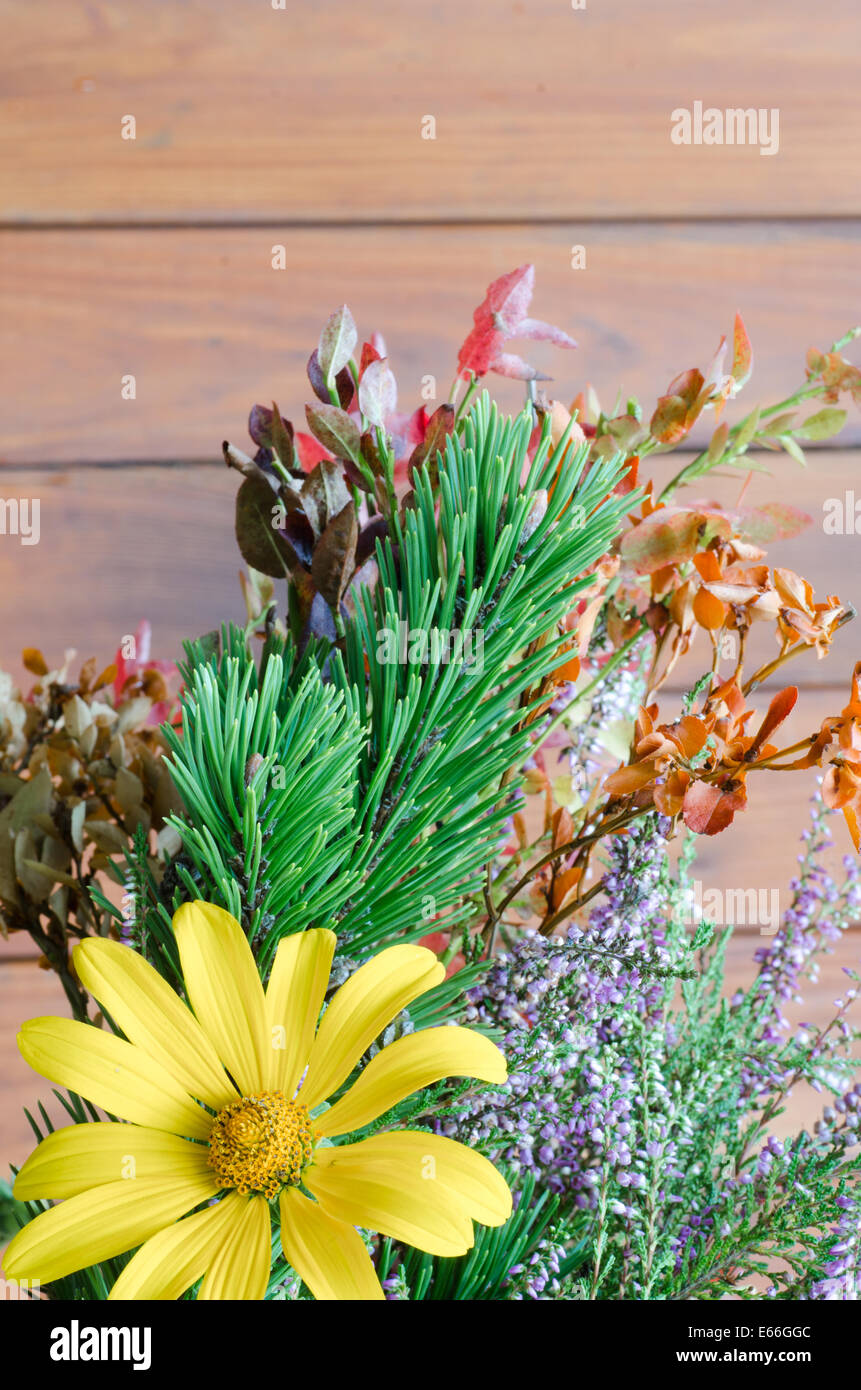 autumn bouquet made of forest plants Stock Photo