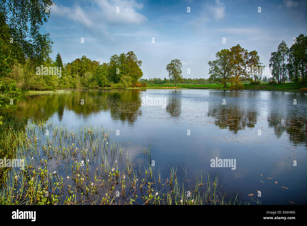 Rohallion Loch, Highland Pertshhire, Scotland. Stock Photo