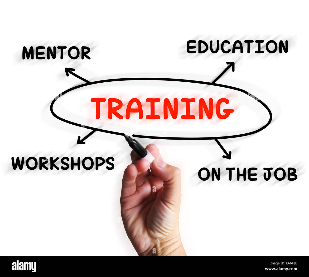Training Diagram Displaying Mentorship Education And Job Preparation Stock Photo