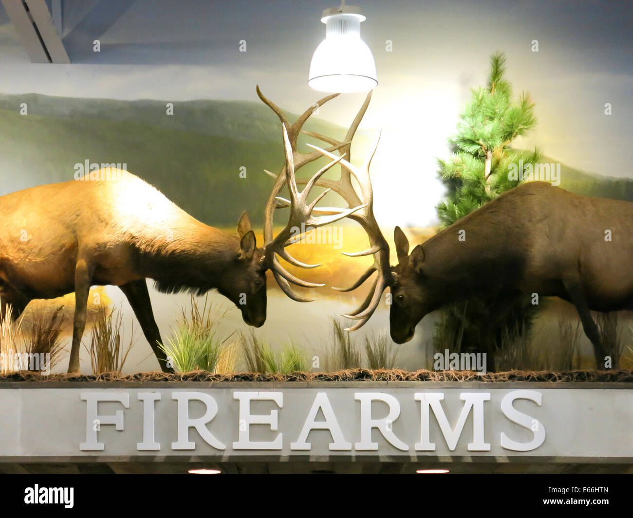 Firearms Section Sign, Cabela's Sporting Goods Store in Missoula, MT, USA Stock Photo